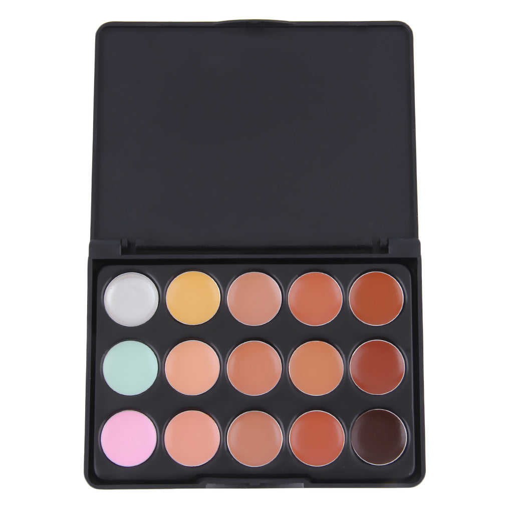 Hot Selling 15 Color Mini Professional Set